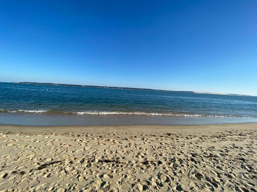 Lodge Cap Lège-Cap-Ferret Eksteriør billede